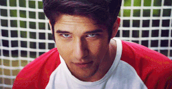 Scott 5.gif