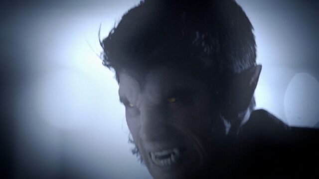 File:Teenwolf305hd 0458-1-.jpg