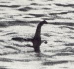 Lochnessmonster surgeon