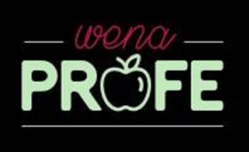 Image result for Wena Profe