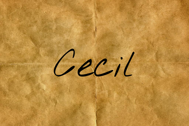 File:BengalR1V4.png