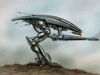 Averarad Model Sentry Droid