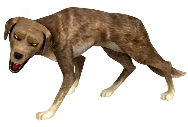 File:Inu.jpg