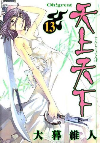 File:Vol 13.jpg