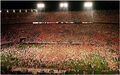 Thumbnail for version as of 12:48, November 6, 2008