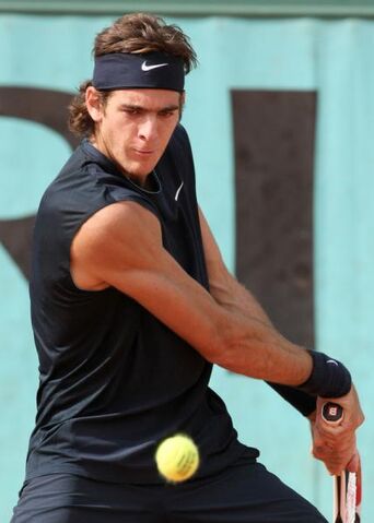 File:Juan Martin Del Potro.jpg