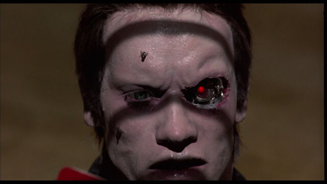 File:The-Terminator-terminator-24509158-1920-1080.jpg