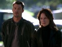 Derek 215.1