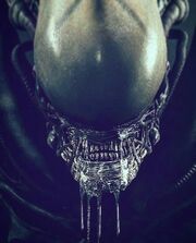 Alien