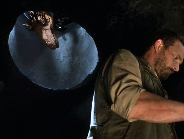 File:Ceilingovosauriswatchingyou.jpg