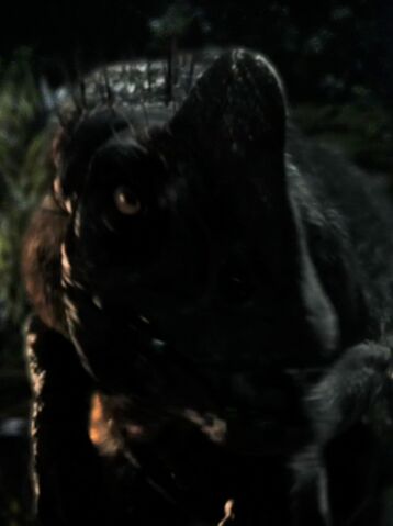 File:Female Slasher.jpg