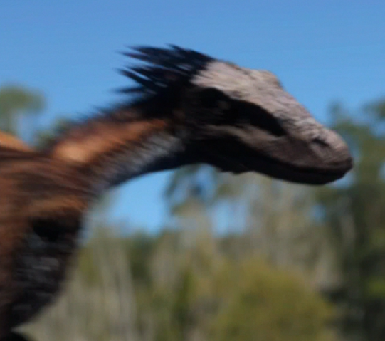 File:Nykoraptor1.png