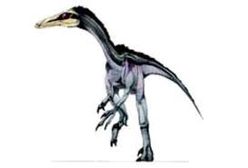 File:Neuquenraptor.jpg