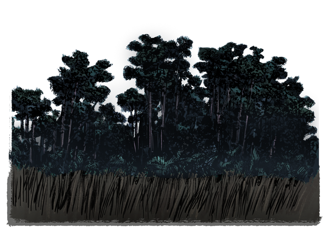 File:TN22BackdropWORK cs.png