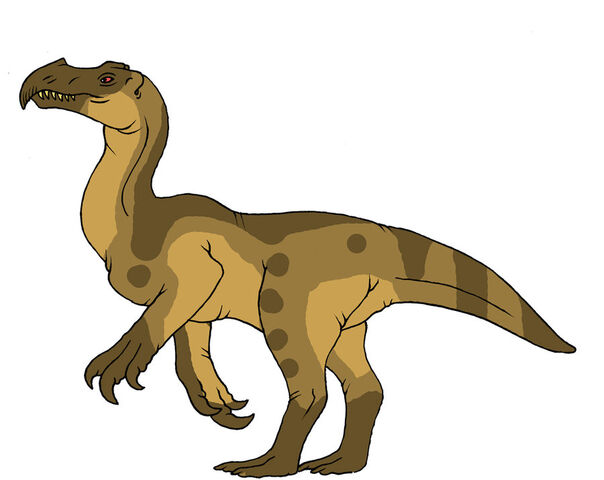 File:Phobochierus.jpg