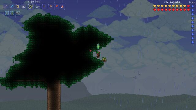 File:Giant Tree 3.jpg