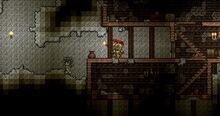 Marble Cave.jpg