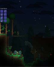 Werewolves