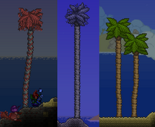 3palms