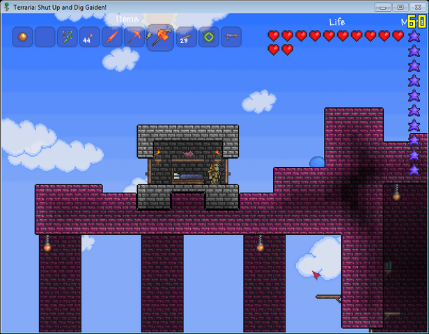 File:Terraria dungeon home.png
