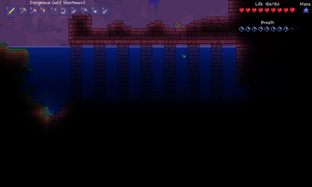 File:Flooded dungeon.jpg