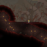 The Crimson | Terraria Wiki | FANDOM powered by Wikia