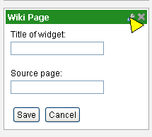 Customize a new WikiPage widget
