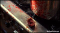 Thumbnail for version as of 15:45, January 27, 2015