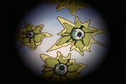 Cosmic Rust