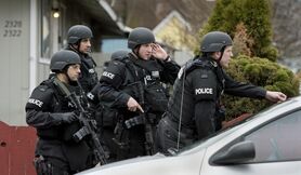 Swat turesta