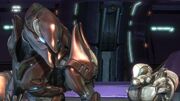 Halo-Reach-Long-Night-Solace-322-SPECIAL-OPERATIONS-SANGHEILI-ELITE