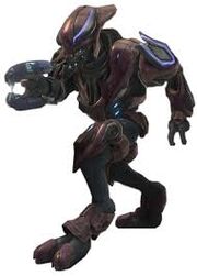 Zealot