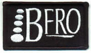 Bfro patch scan
