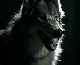 File:Werewolf.jpg