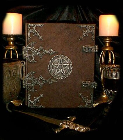 File:Bonum Book.jpg