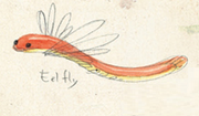 Eelfly