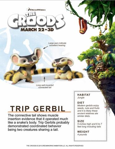 File:Trip Gerbil.jpg