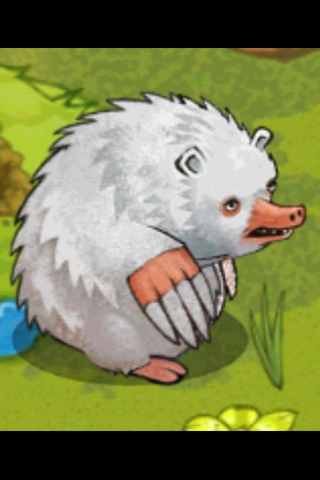 File:IMG 2532.png