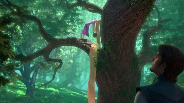 File:Tangled (126).jpg