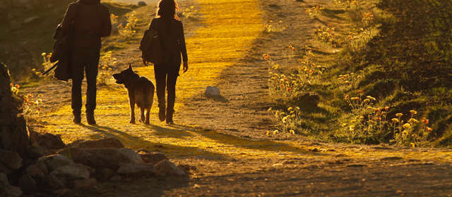 File:Yellow brick road.png
