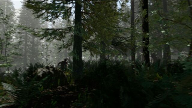 Файл:TheForest Day.jpg