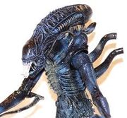 Alien warrior