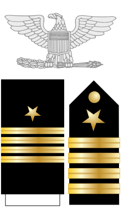 File:Captain.png