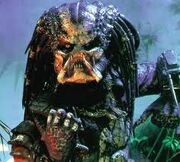 Predator