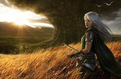 File:Elf woman warrior.jpg