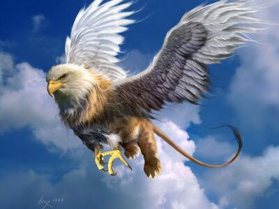 Griffon 1