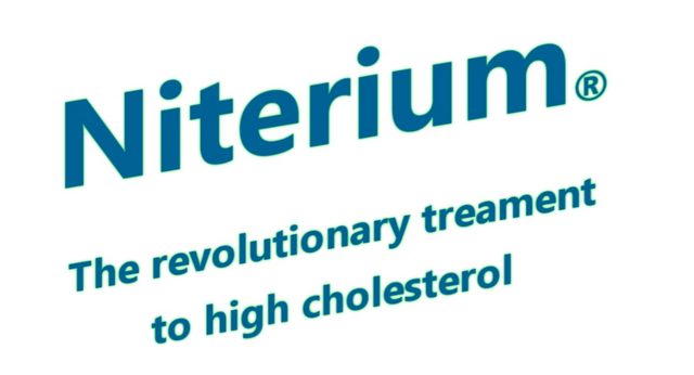 File:Niterium logo.png