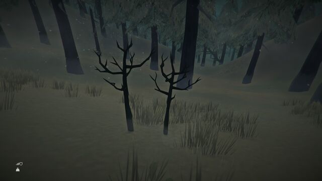 Файл:Maplegrow1.jpg