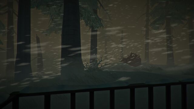 Файл:Snowstorm.jpg