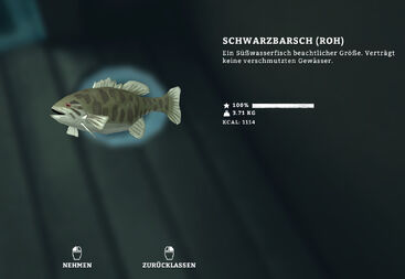FischInterface.jpg